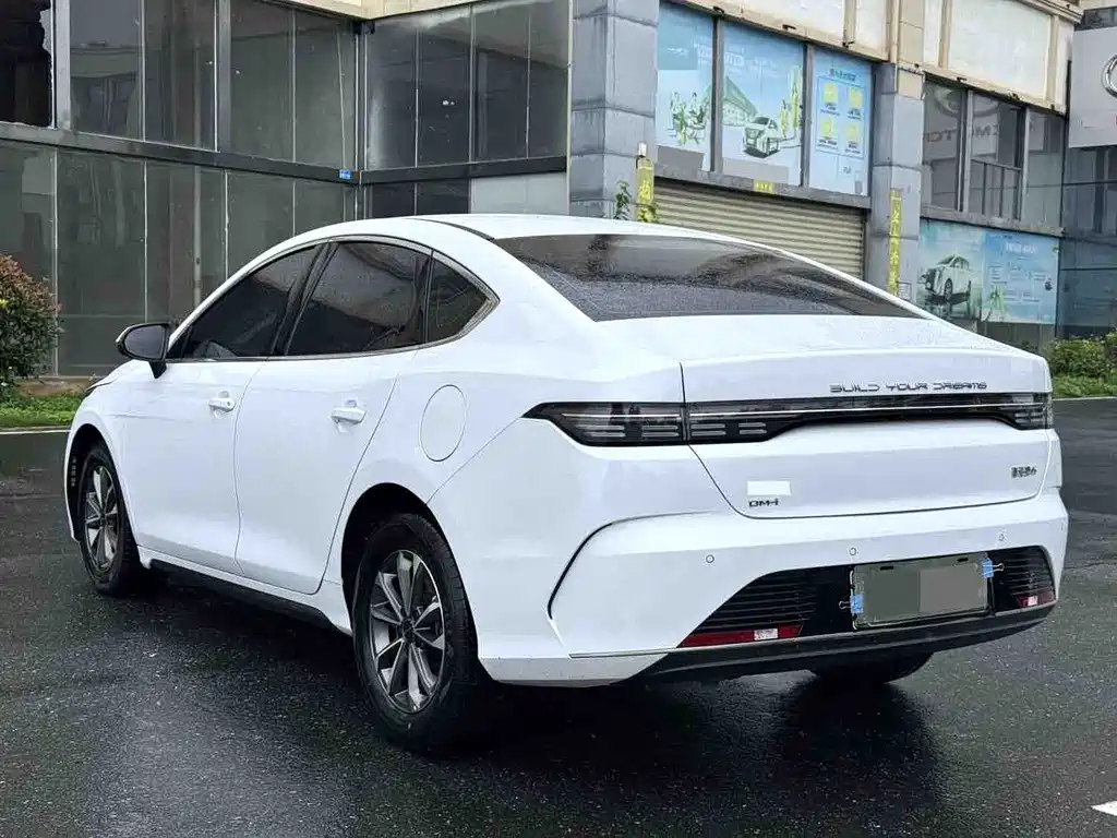 BYD Destroyer 05 2024 — фото 4