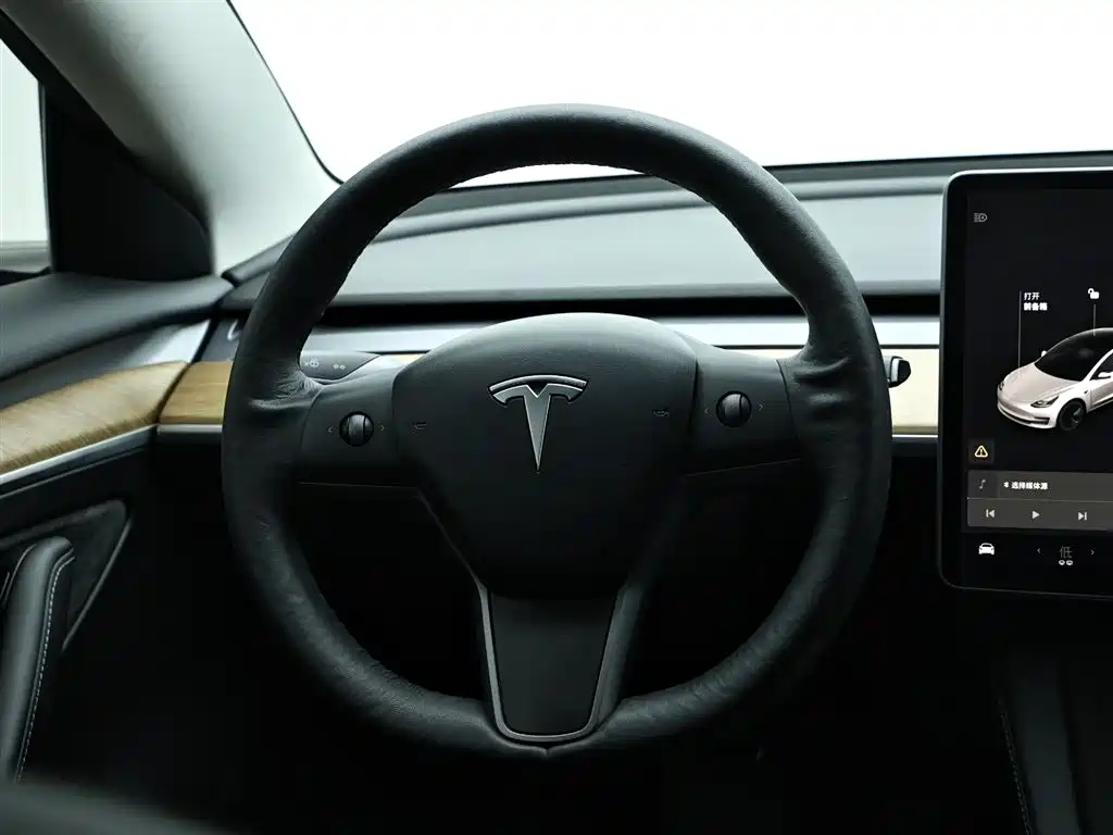 Tesla Model 3 2021 — фото 16