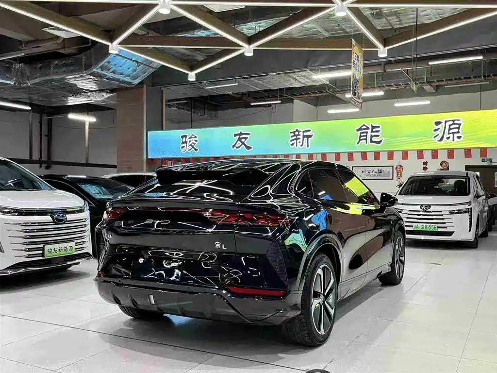 BYD L EV 2024 — фото 5
