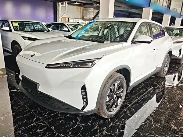 Dongfeng Aeolus SKY 2025