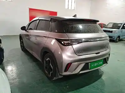 BYD Dolphin 2021