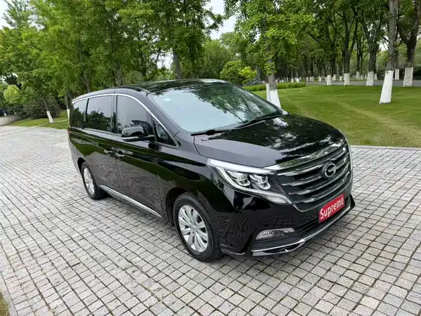 GAC Trumpchi M8 2018