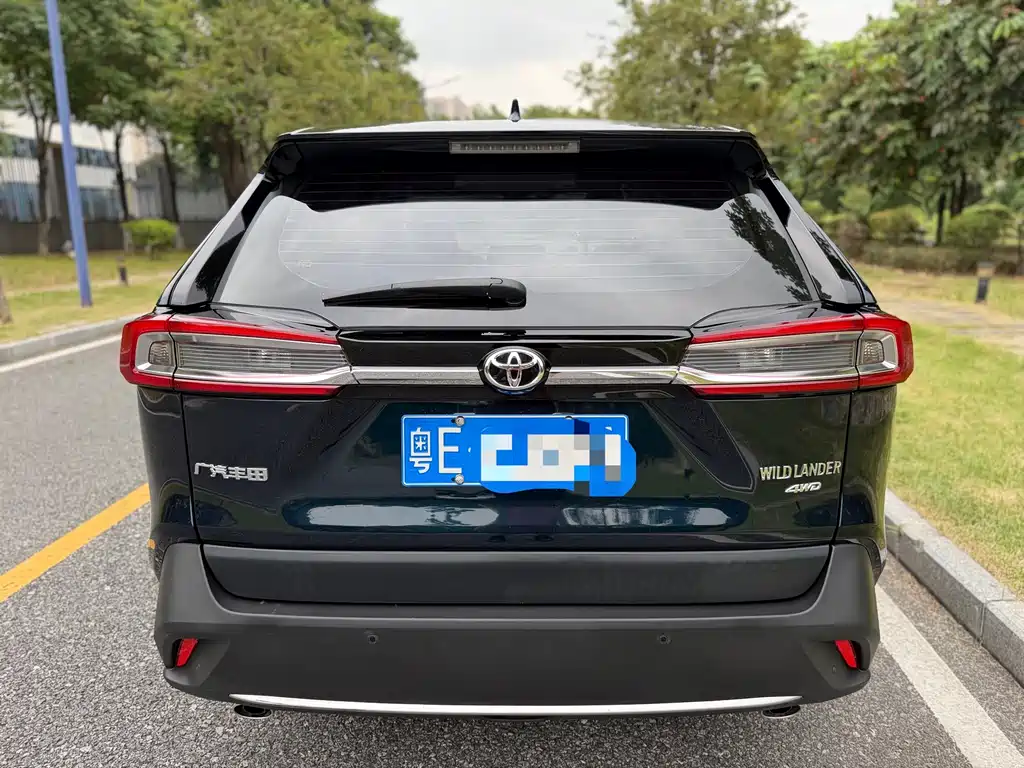 Toyota Wildlander 2021