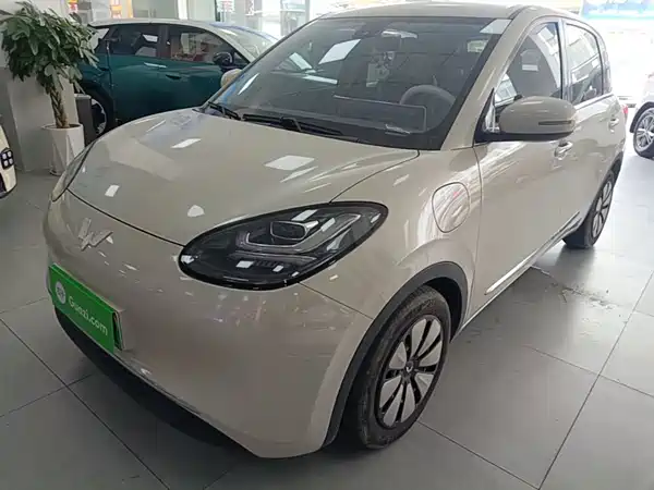 Wuling Bingo 2024