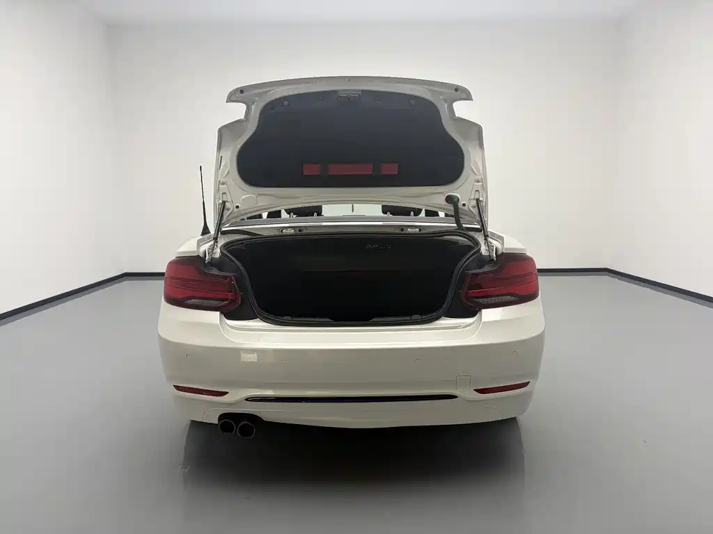 BMW 2 Series 2020 — фото 17