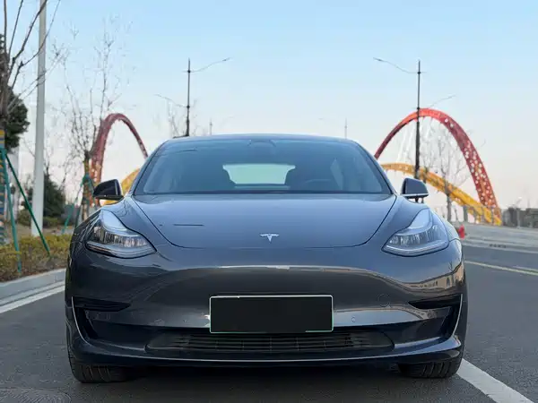 Tesla Model 3 2019