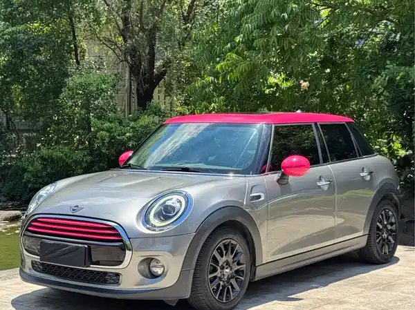MINI 2019