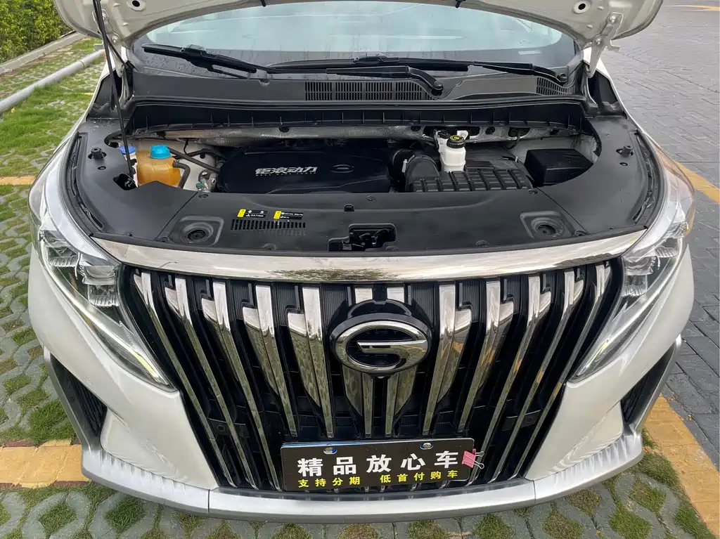 GAC Motor Trumpchi M8 2023 — фото 21