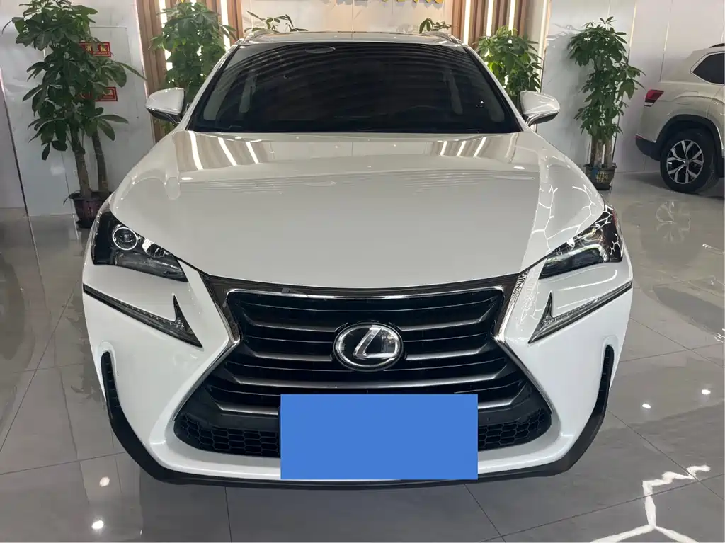 Lexus NX 2015 — фото 2