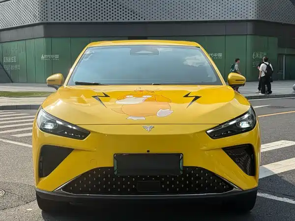 Neta L 2024