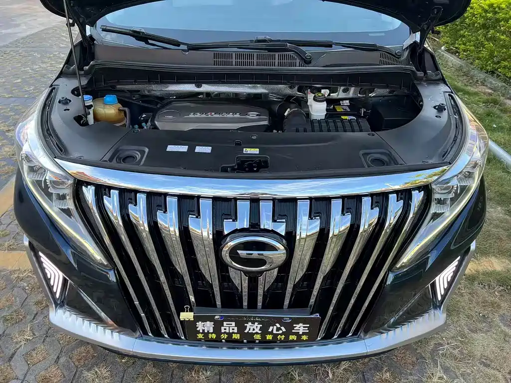 GAC Motor Trumpchi M8 2019 — фото 21