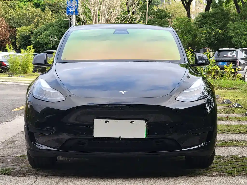 Tesla Model Y 2023 — фото 2