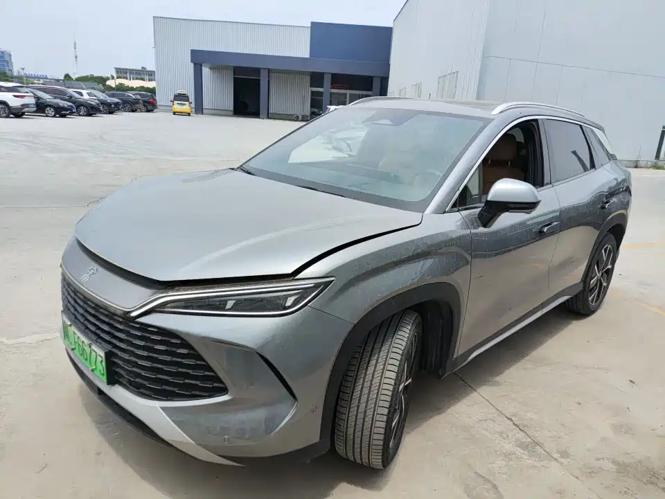 BYD L DM-i 2024