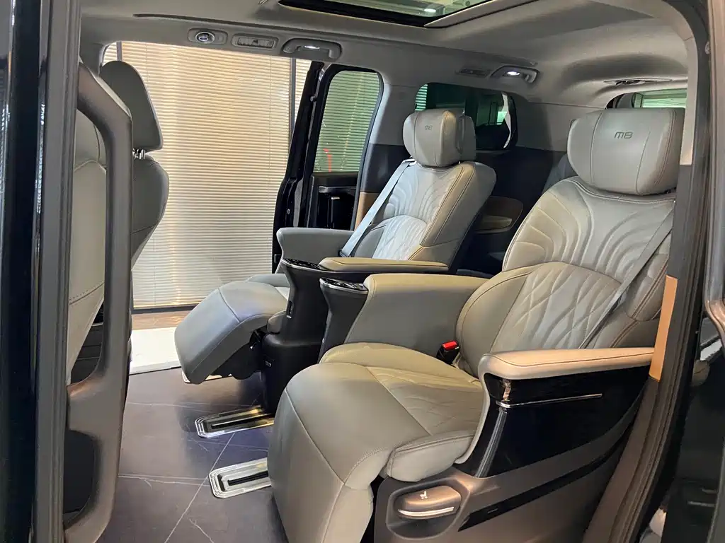 GAC Trumpchi M8 2023 — фото 16
