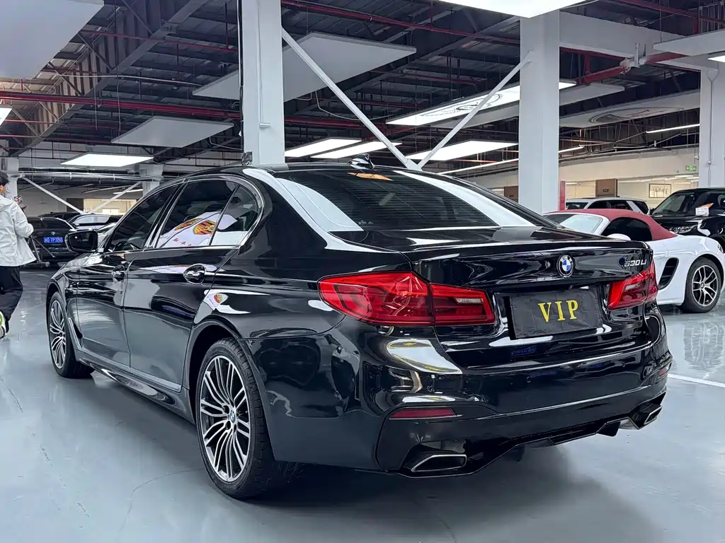 BMW 5 Series 2018 — фото 18