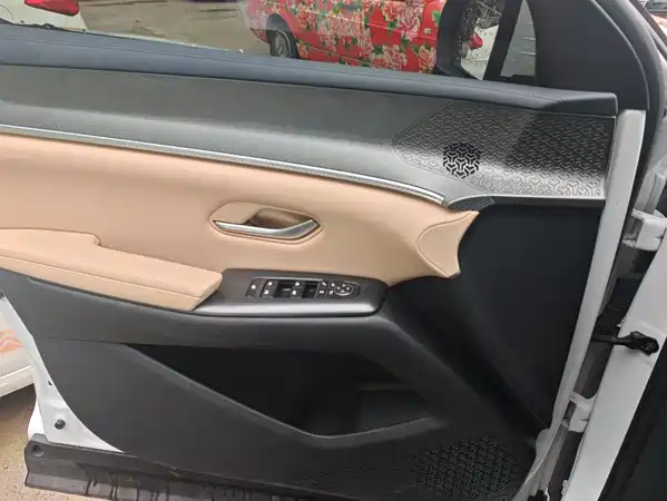 BYD Song Pro New Energy 2025