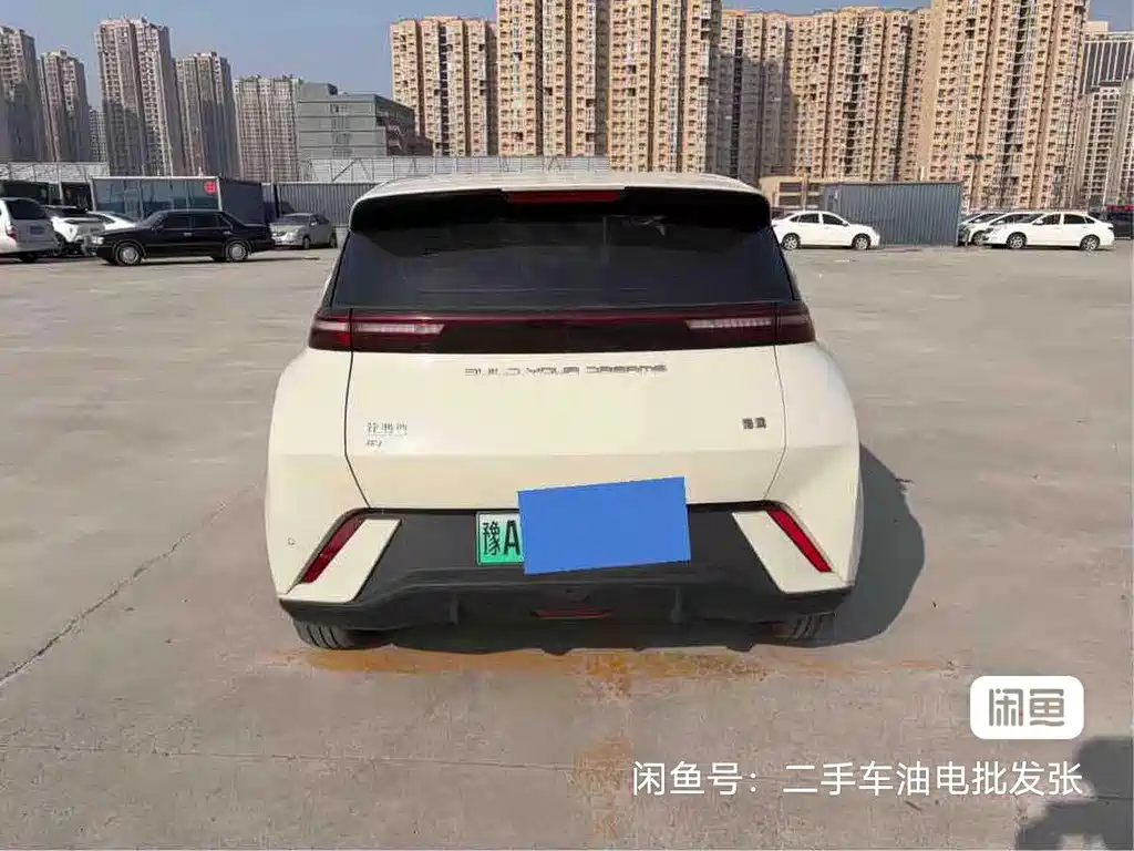 BYD Seagull 2024