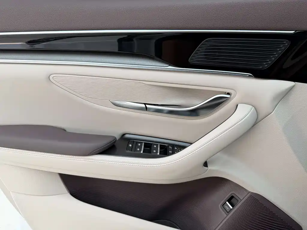 BYD Song PLUS New Energy 2025 — фото 20