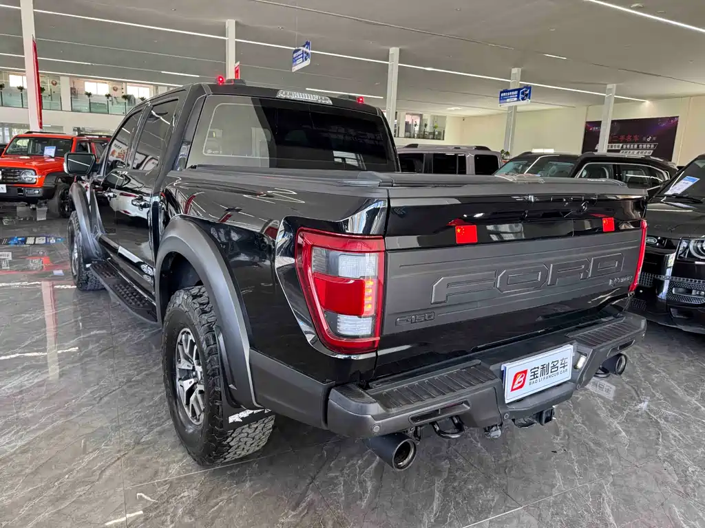 Ford F-150 Raptor 2024 — фото 5