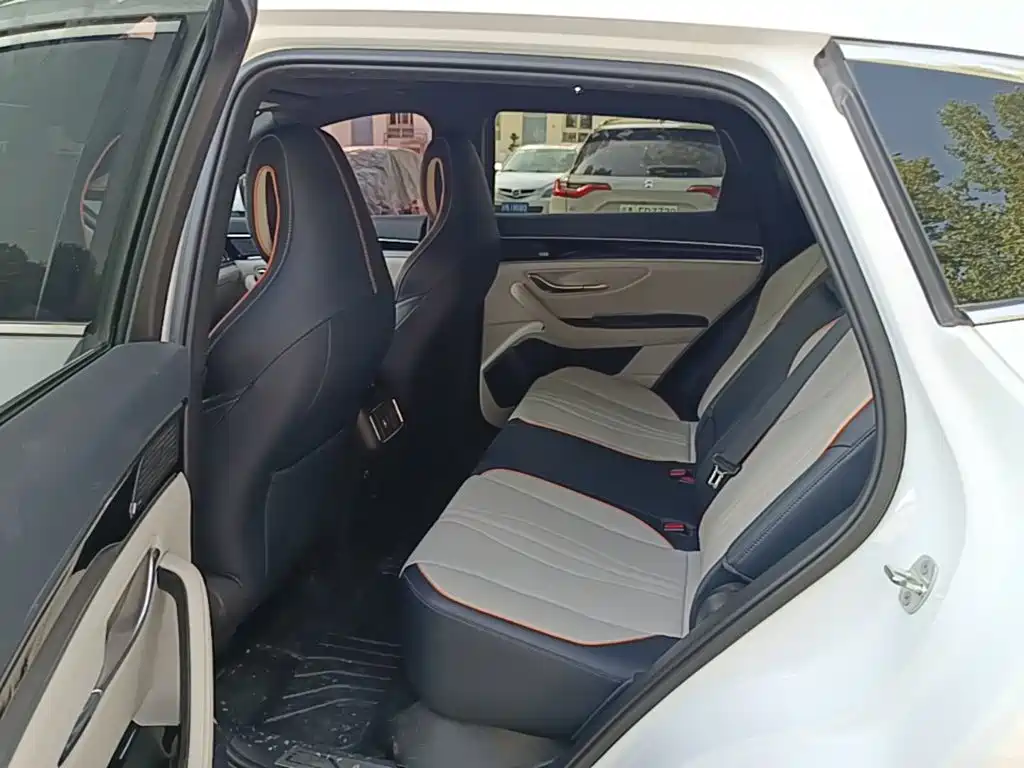 BYD PLUS New Energy 2022 — фото 17