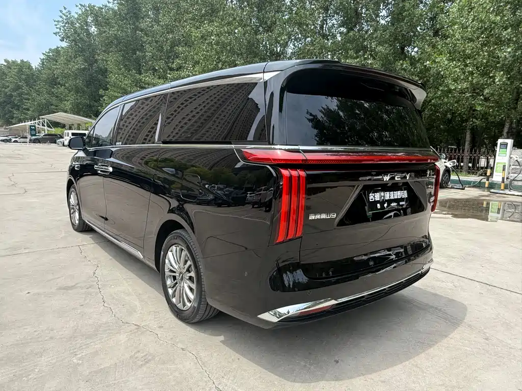 Wey Gaoshan 2025