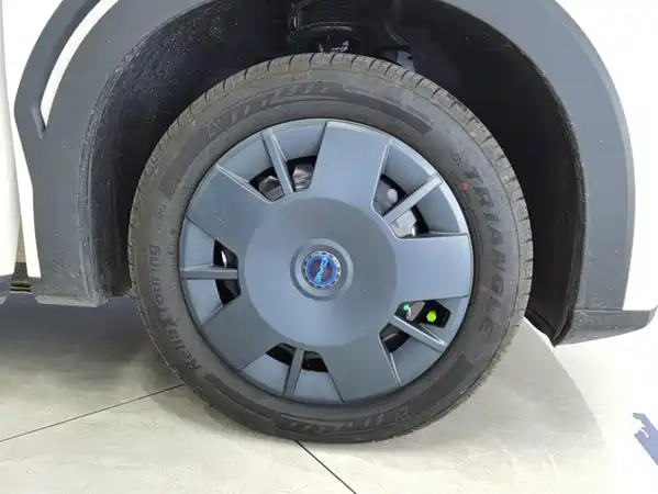 BYD Seagull 2026