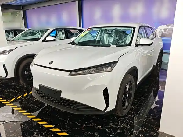 Dongfeng Aeolus SKY 2025
