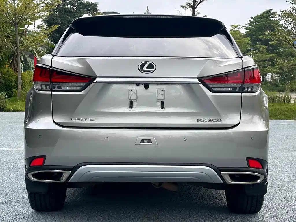Lexus RX 2021 — фото 5