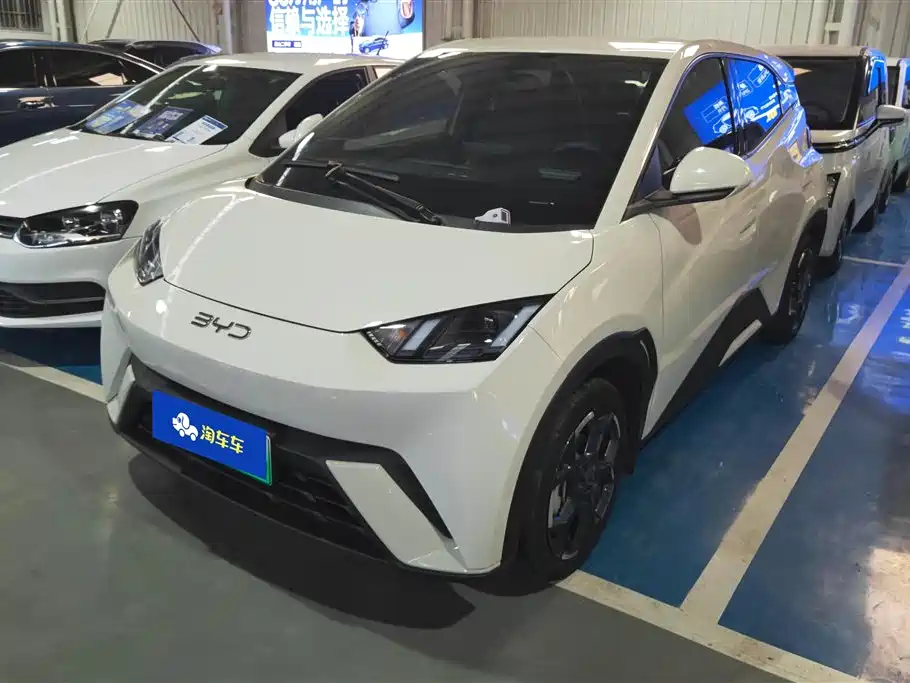 BYD Seagull 2024