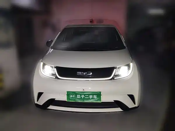 BYD Dolphin 2024