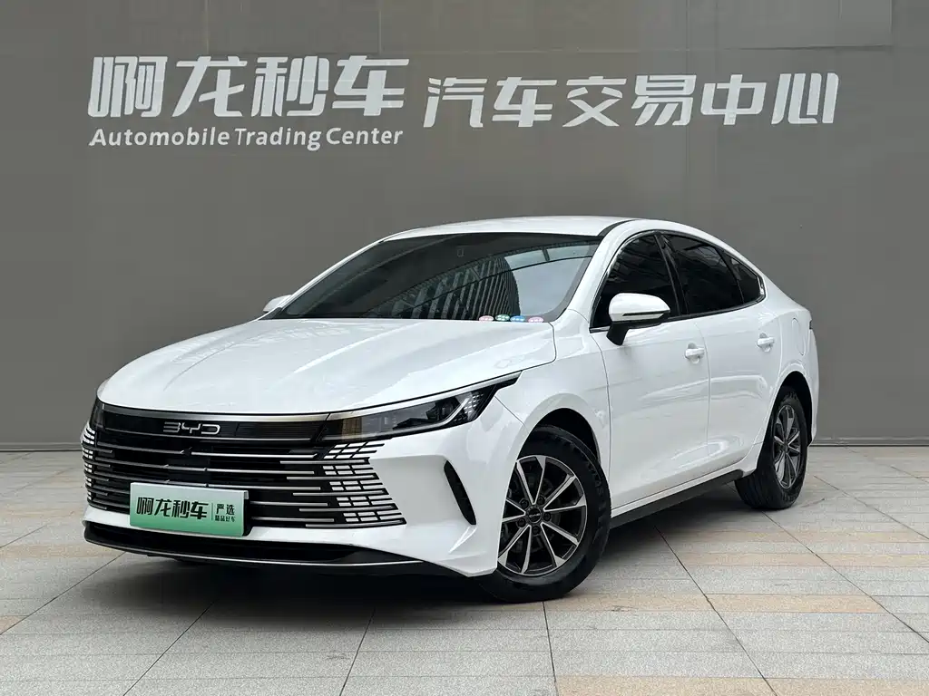 BYD Destroyer 05 2024 — фото 14