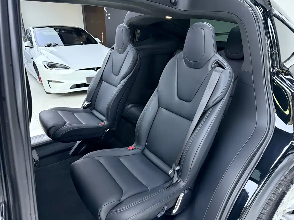 Tesla Model X 2019 — фото 12