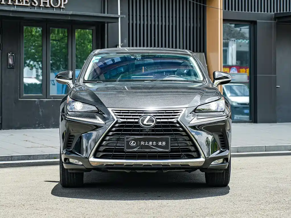 Lexus NX 2020 — фото 1
