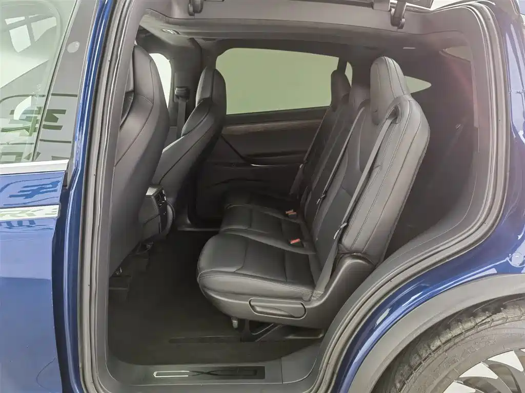 Tesla Model X 2020 — фото 15