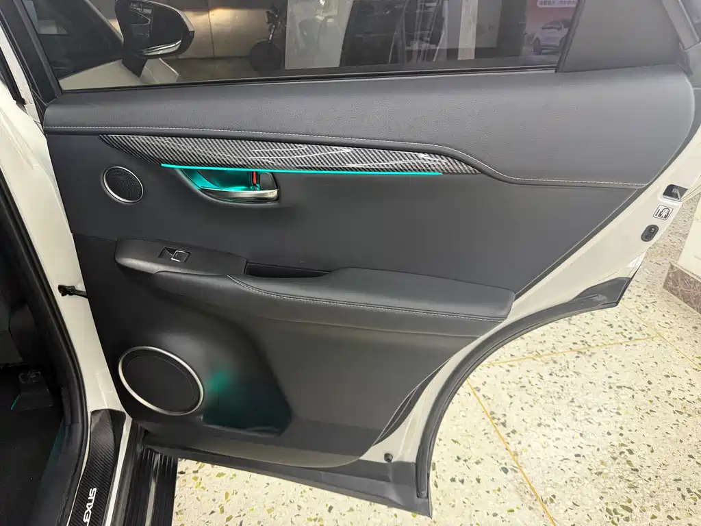 Lexus NX 2019 — фото 17