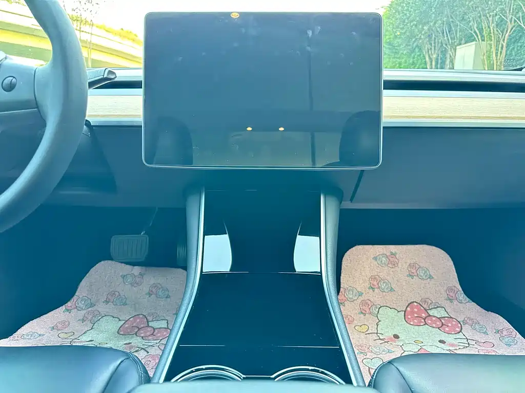 Tesla Model 3 2020 — фото 15