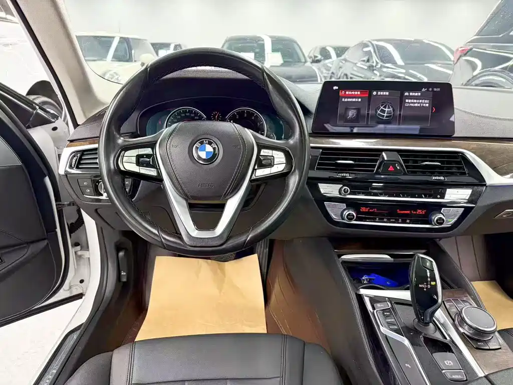 BMW 5 Series 2018 — фото 16