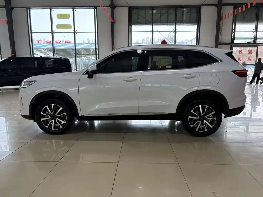 Haval H6 2021 — фото 13