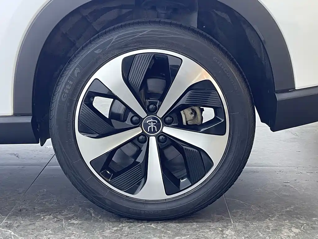 BYD PLUS New Energy 2022 — фото 8