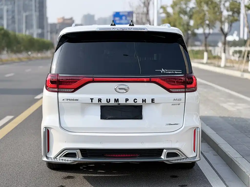 GAC Motor Trumpchi M8 2021 — фото 16