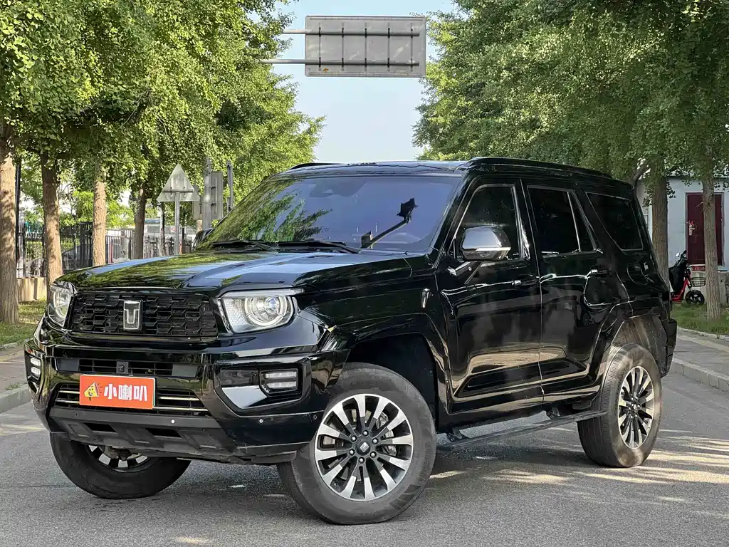 Tank 700 New Energy 2024