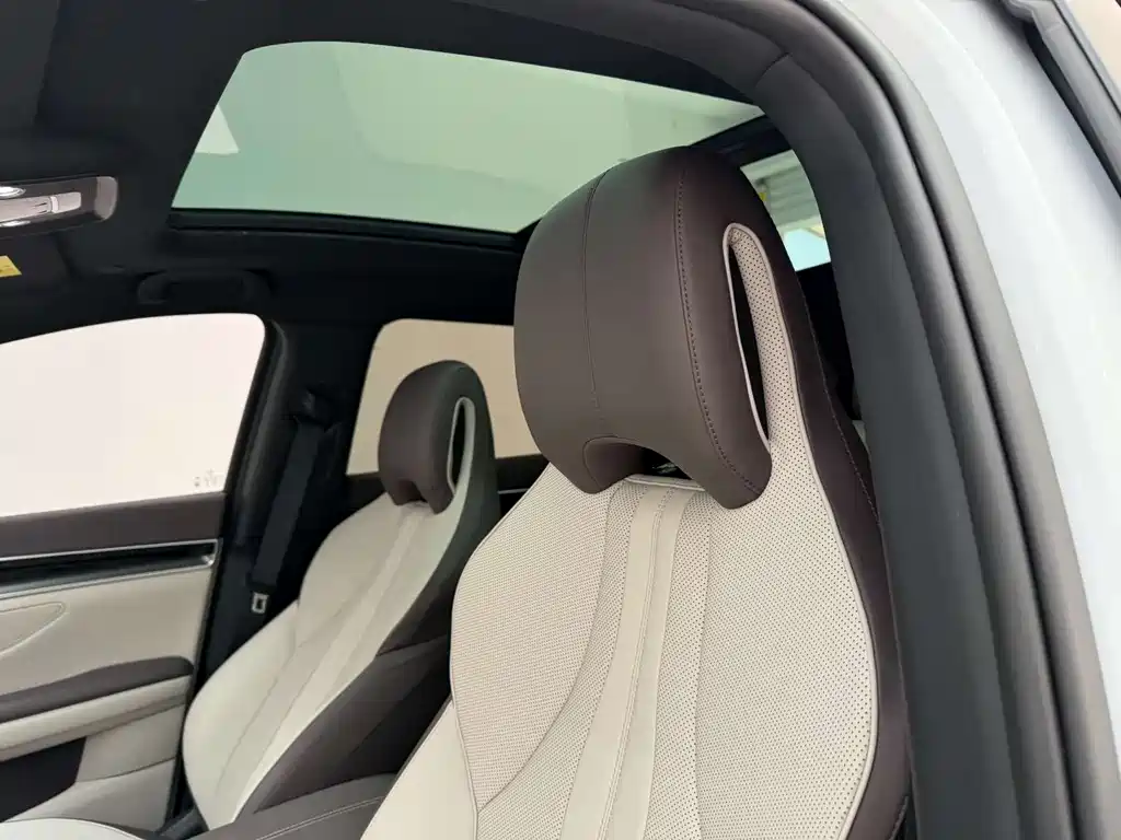 BYD Song PLUS New Energy 2025 — фото 14