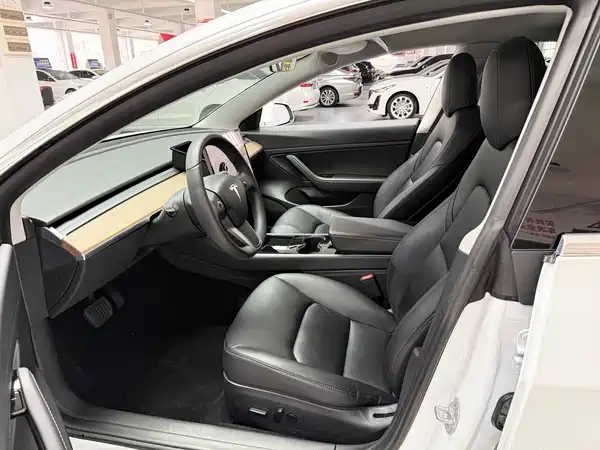Tesla Model 3 2019