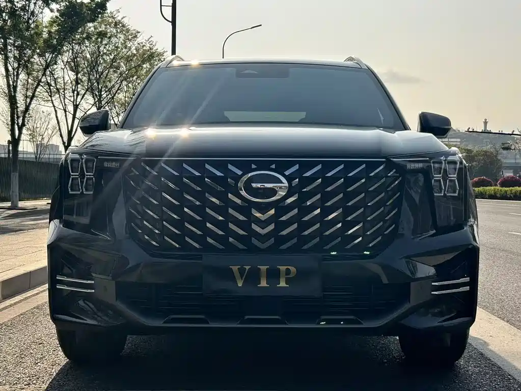GAC Motor Trumpchi GS8 2024 — фото 14