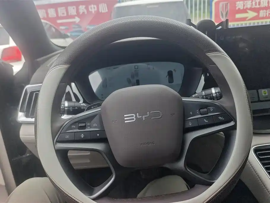 BYD PLUS New Energy 2025 — фото 12