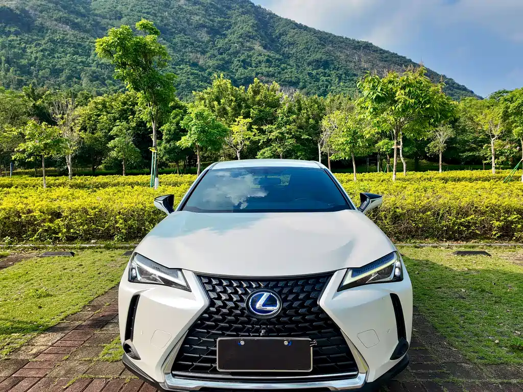 Lexus UX 2019 — фото 8