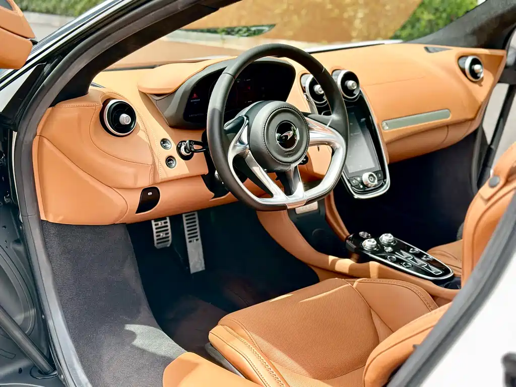 McLaren GT 2023 — фото 14