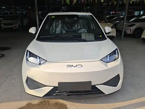 BYD Seagull 2026