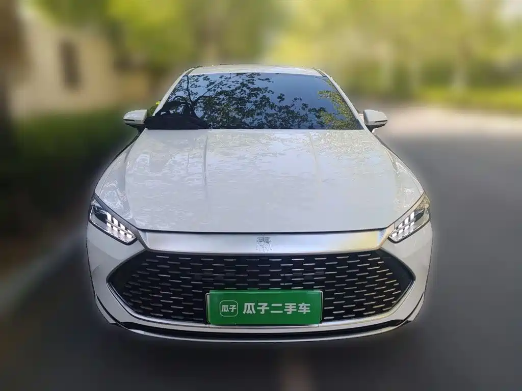 BYD Qin PLUS 2024 — фото 24
