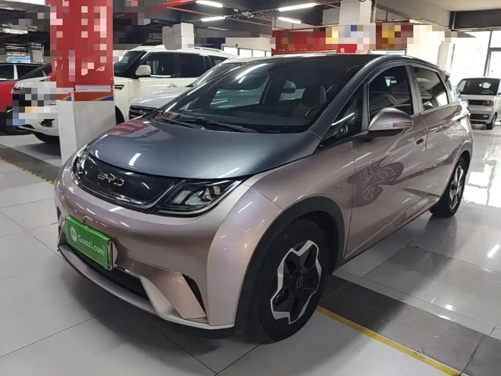 BYD Dolphin 2021